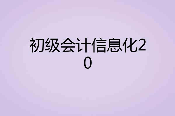 初级会计信息化20