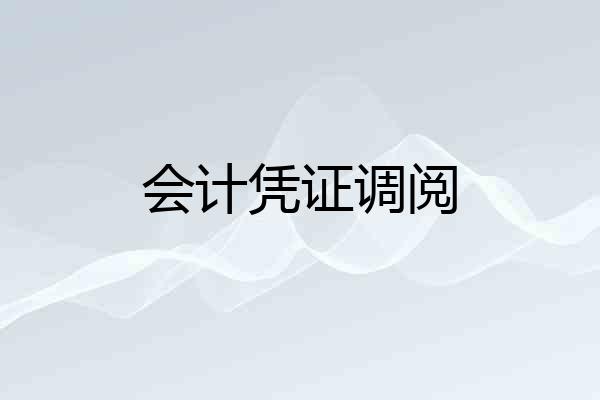 会计凭证调阅