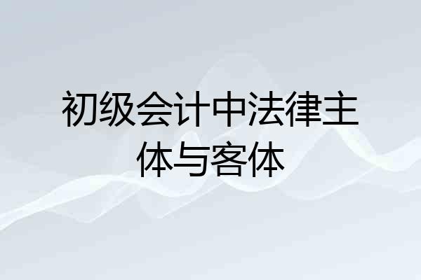 初级会计中法律主体与客体