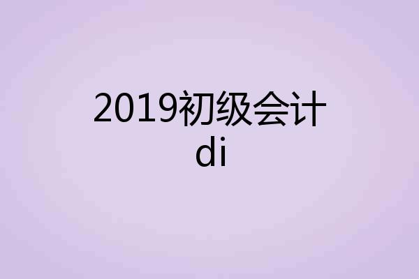2019初级会计di