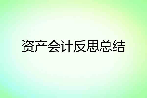 资产会计反思总结