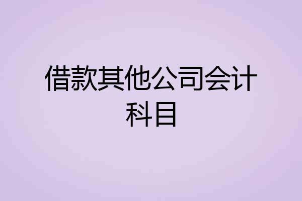 借款其他公司会计科目
