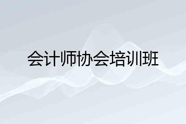 会计师协会培训班