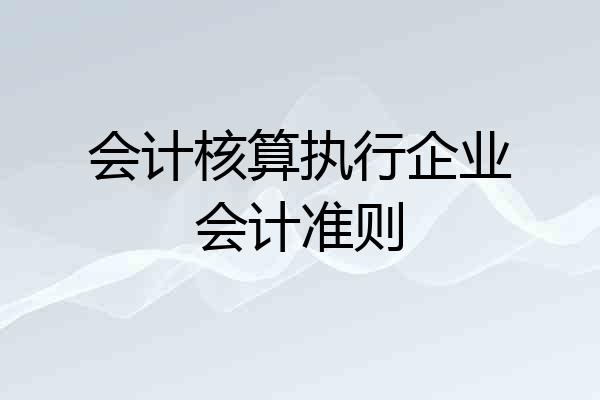 会计核算执行企业会计准则