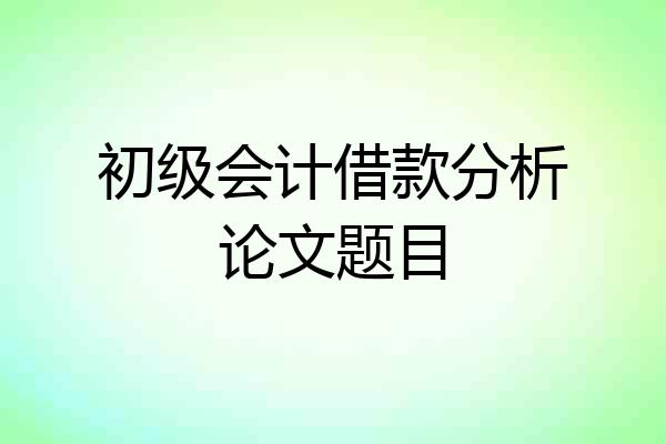 初级会计借款分析论文题目