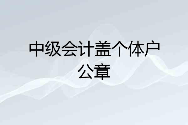 中级会计盖个体户公章