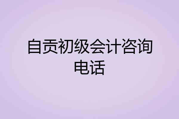 自贡初级会计咨询电话