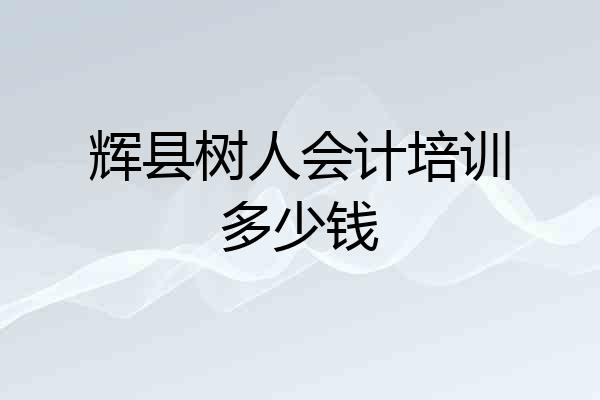 辉县树人会计培训多少钱