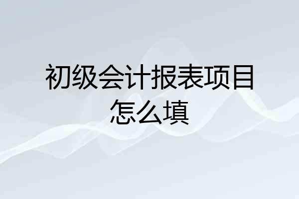 初级会计报表项目怎么填