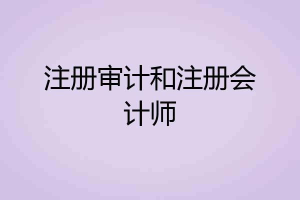 注册审计和注册会计师