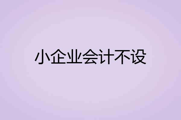 小企业会计不设