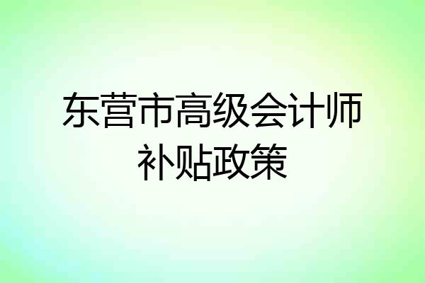 东营市高级会计师补贴政策