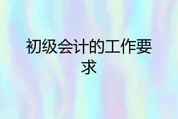 初级会计的工作要求