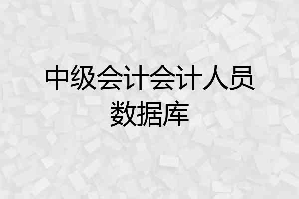 中级会计会计人员数据库