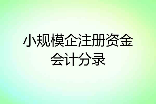小规模企注册资金会计分录