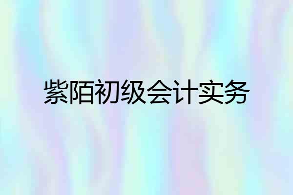 紫陌初级会计实务