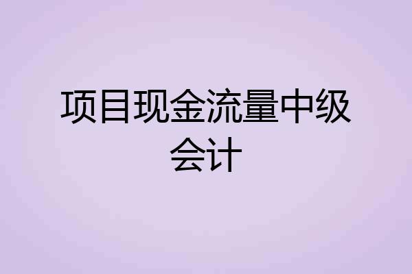 项目现金流量中级会计