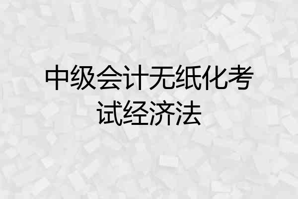 中级会计无纸化考试经济法