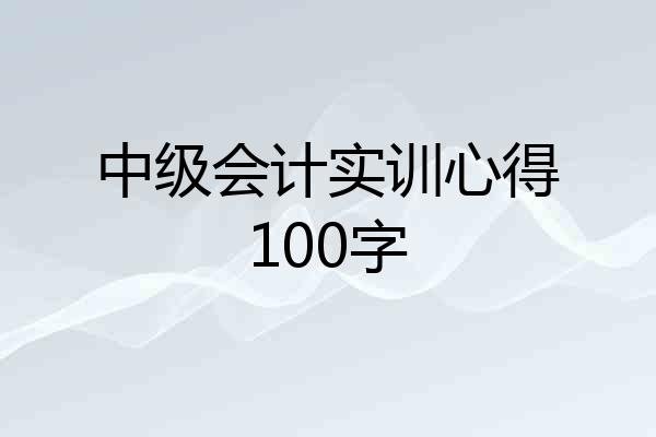 中级会计实训心得100字