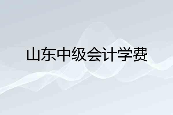 山东中级会计学费