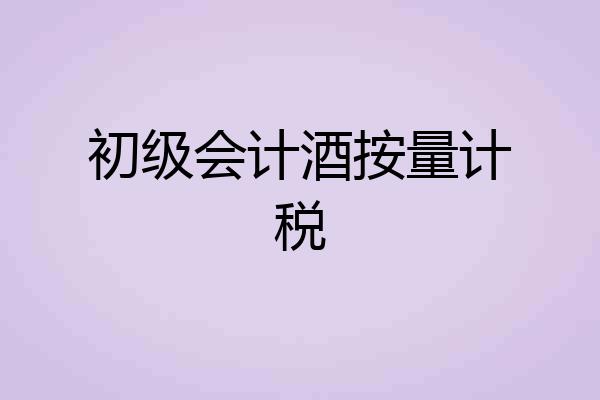初级会计酒按量计税