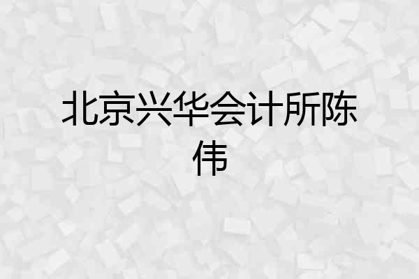 北京兴华会计所陈伟