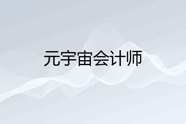 元宇宙会计师