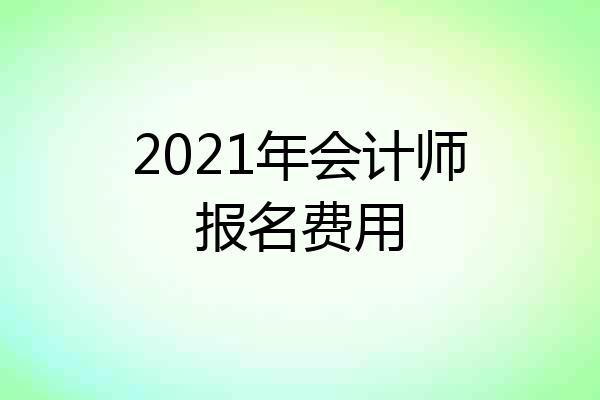 2021年会计师报名费用