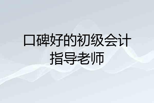 口碑好的初级会计指导老师