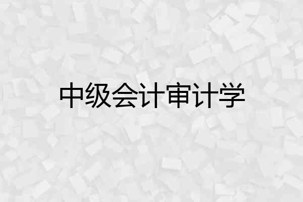 中级会计审计学
