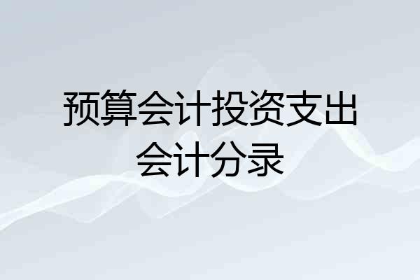 预算会计投资支出会计分录