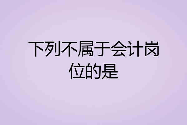 下列不属于会计岗位的是