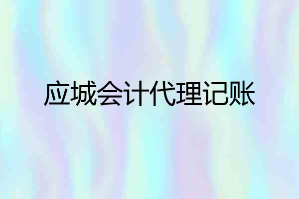 应城会计代理记账