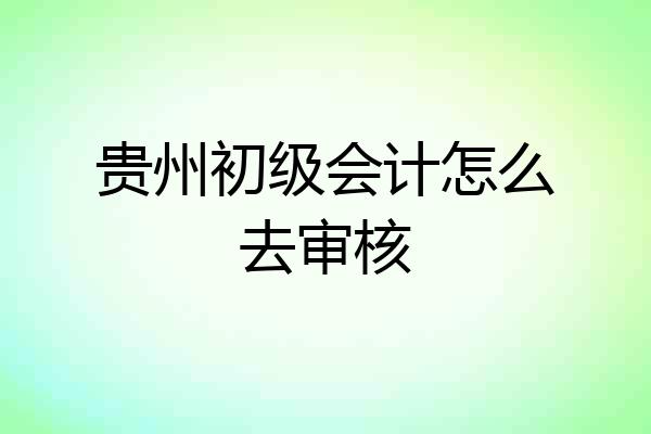 贵州初级会计怎么去审核