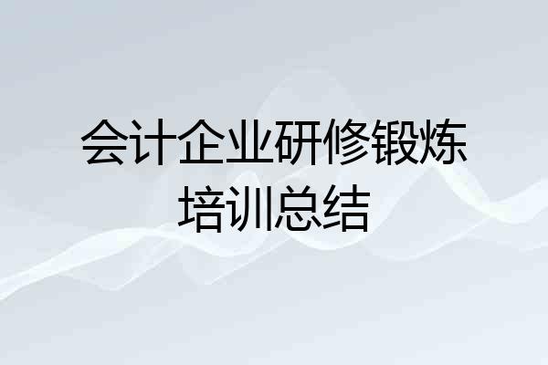 会计企业研修锻炼培训总结