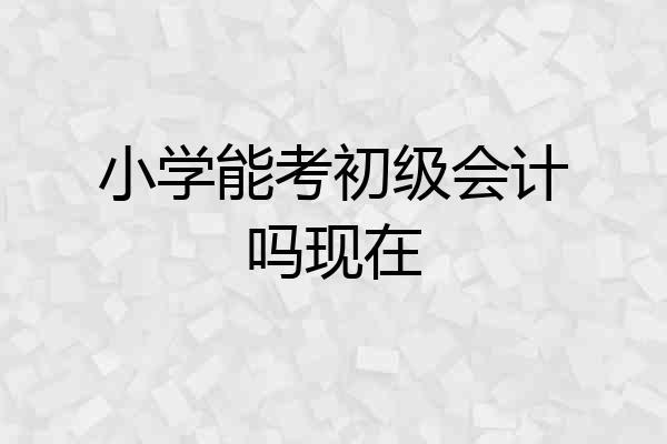 小学能考初级会计吗现在