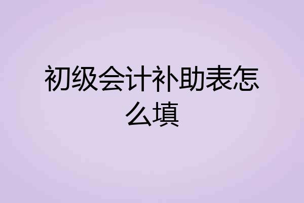 初级会计补助表怎么填