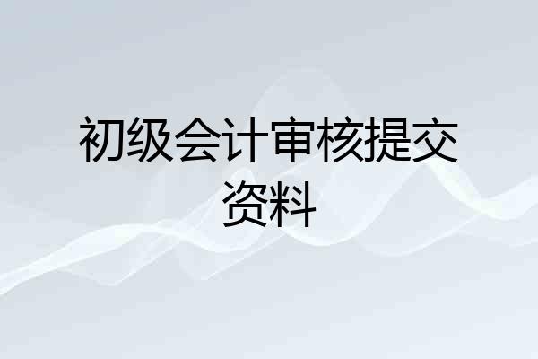 初级会计审核提交资料
