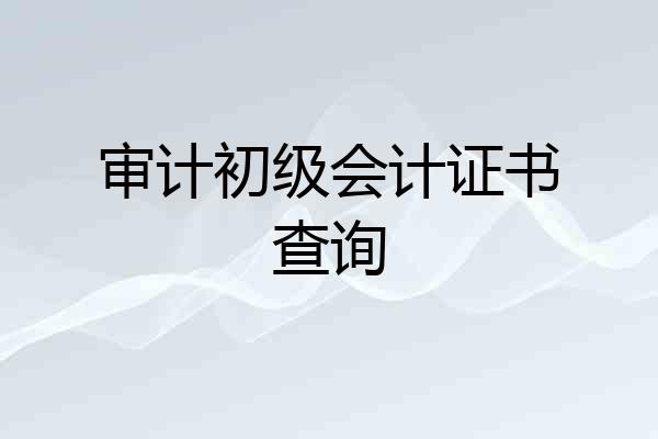 审计初级会计证书查询