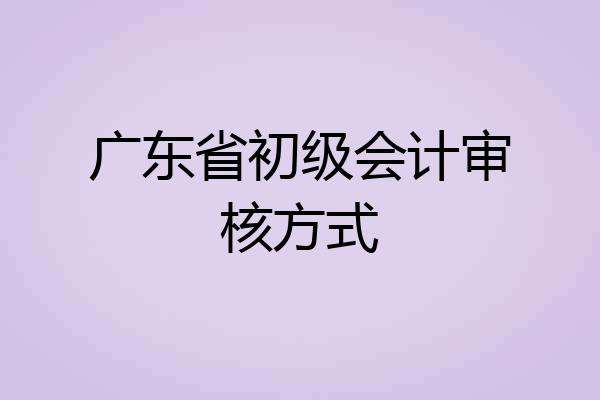 广东省初级会计审核方式