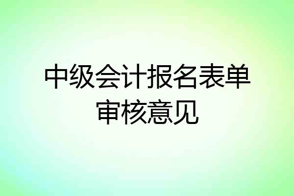 中级会计报名表单审核意见