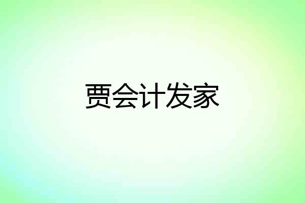 贾会计发家