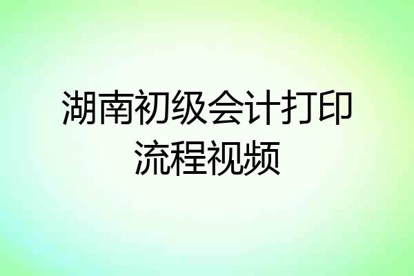 湖南初级会计打印流程视频