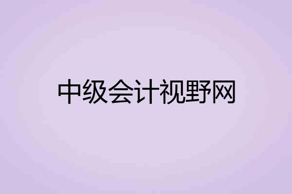 中级会计视野网