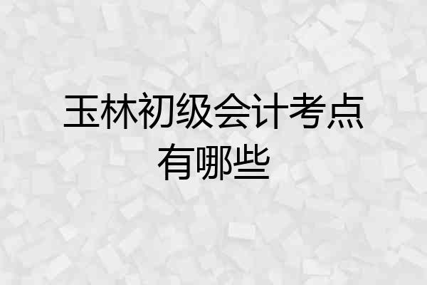 玉林初级会计考点有哪些