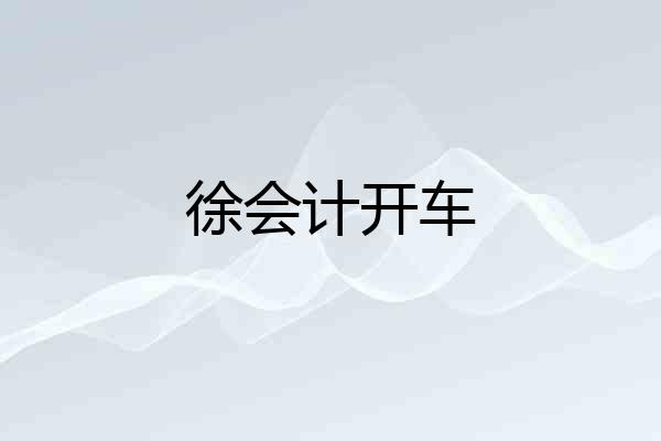 徐会计开车