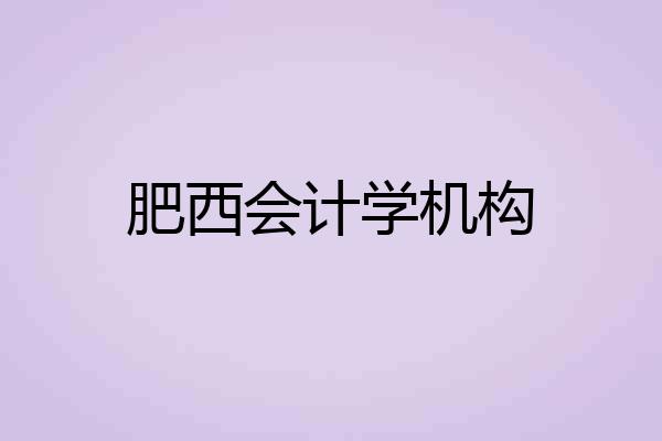 肥西会计学机构