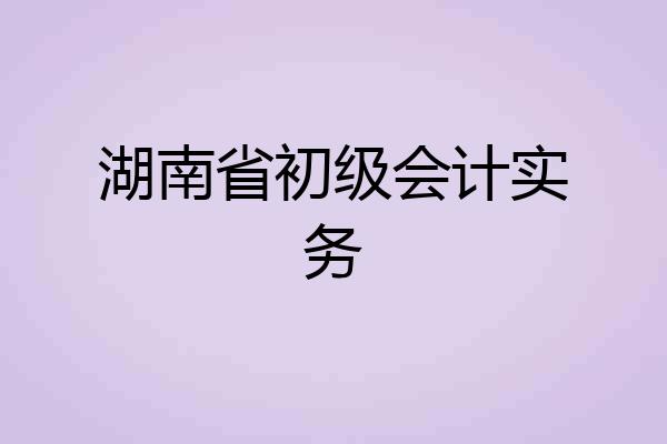 湖南省初级会计实务