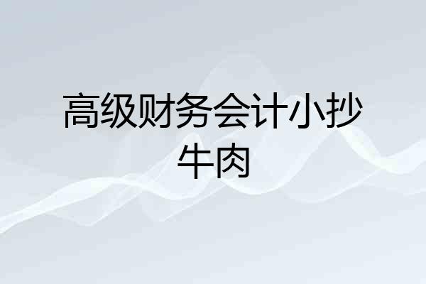 高级财务会计小抄牛肉
