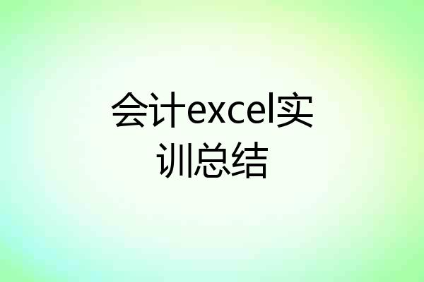 会计excel实训总结